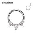 steel color hinged hoop titanium earring