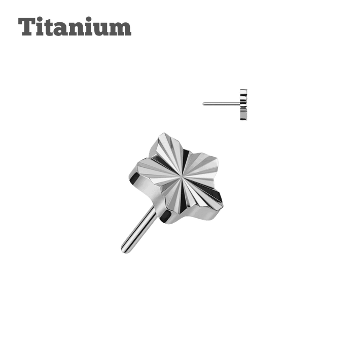 steel color titanium threadless top diamond cut star design earring